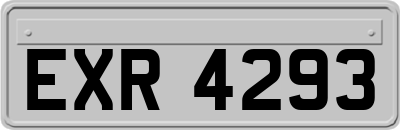 EXR4293