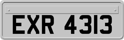 EXR4313
