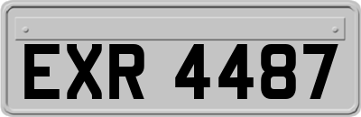 EXR4487
