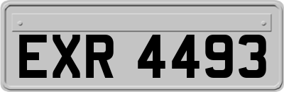 EXR4493