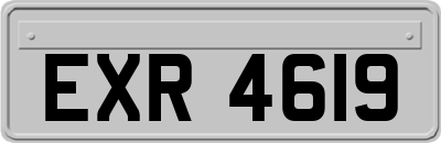 EXR4619