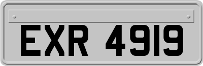 EXR4919
