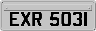 EXR5031