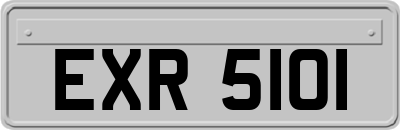 EXR5101