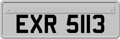 EXR5113