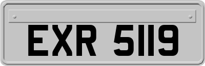 EXR5119