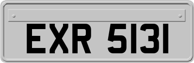 EXR5131