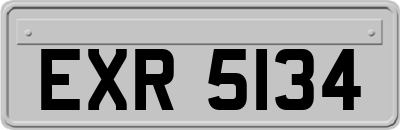 EXR5134