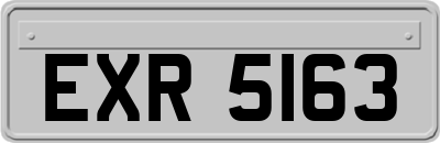 EXR5163