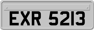 EXR5213