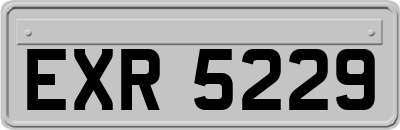 EXR5229
