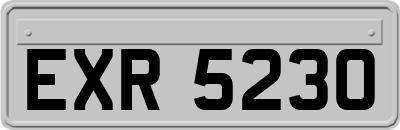 EXR5230