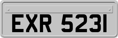 EXR5231