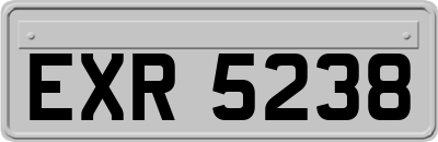 EXR5238