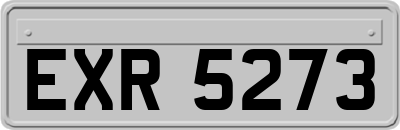 EXR5273