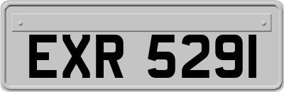 EXR5291