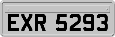 EXR5293