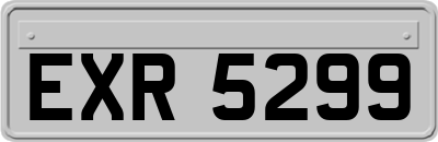 EXR5299