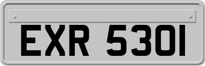EXR5301