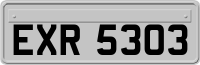 EXR5303