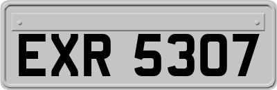 EXR5307