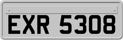 EXR5308