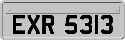 EXR5313