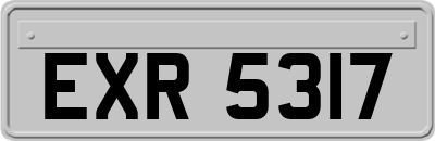 EXR5317