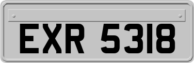 EXR5318
