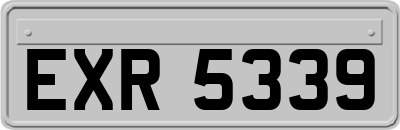 EXR5339