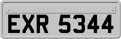 EXR5344