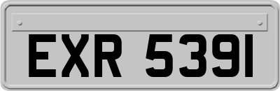 EXR5391