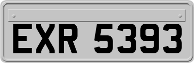 EXR5393