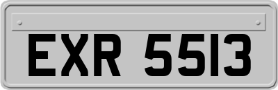 EXR5513