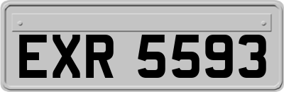 EXR5593