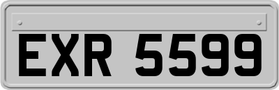 EXR5599