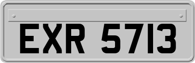 EXR5713