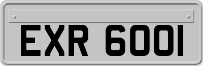 EXR6001