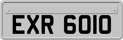EXR6010