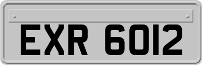 EXR6012