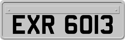 EXR6013