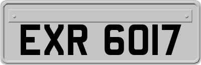 EXR6017