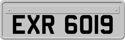 EXR6019