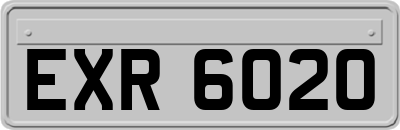 EXR6020