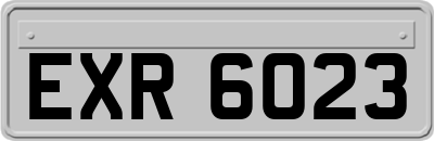 EXR6023