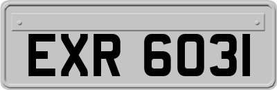 EXR6031