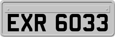 EXR6033