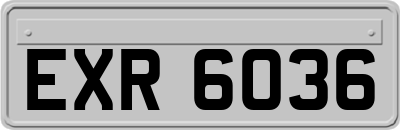EXR6036
