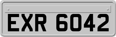 EXR6042