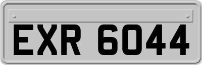 EXR6044